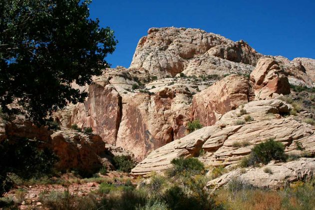 Capitol Reef National Park - Utah Capitol Reef National Park - Utah