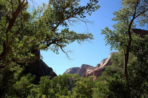 Zion National Park - Utah Zion National Park - Utah