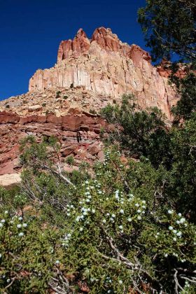 Capitol Gorge, Capitol Reef National Park - Utah Capitol Gorge, Capitol Reef National Park - Utah