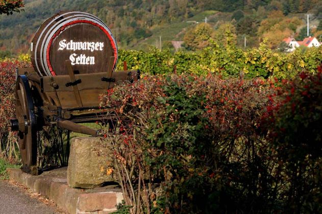 Weinreise in die Pfalz - Weinlehrpfad Edenkoben