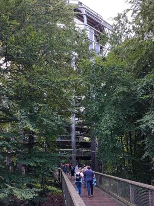 Der Aussichtsturm 'Adlerhorst' am Baumwipfelpfad des Naturerbe Zentrums Rügen Der Aussichtsturm 'Adlerhorst' am Baumwipfelpfad des Naturerbe Zentrums Rügen