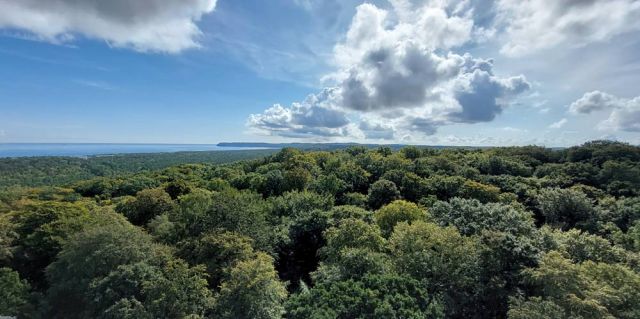 Der Aussichtsturm 'Adlerhorst' des Naturerbe Zentrums Rügen - der Blick auf das Waldgebiet Granitz Der Aussichtsturm 'Adlerhorst' des Naturerbe Zentrums Rügen - der Blick auf das Waldgebiet Granitz