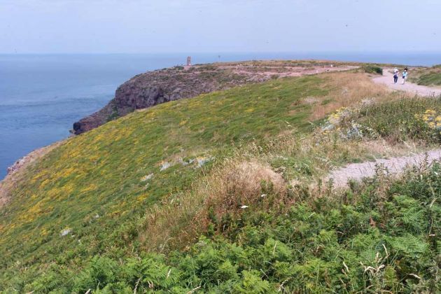 Cap Fréhel an der Côte d’Émeraude in der Bretagne Cap Fréhel an der Côte d’Émeraude in der Bretagne