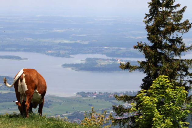 Der Blick von der Alm an der Kampenwand auf den Chiemsee Der Blick von der Alm an der Kampenwand auf den Chiemsee