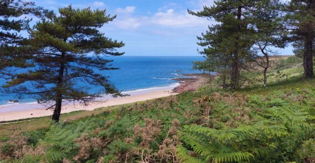 Cap Erquy - der weite Sandstrand des Plage de Lourtuais Cap Erquy - der weite Sandstrand des Plage de Lourtuais