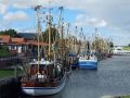 Greetsiel-Krummhörn - Kutter im Greetsieler Fischereihafen