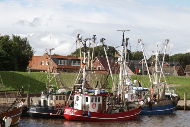 Greetsiel-Krummhörn - Kutter im Greetsieler Fischereihafen Greetsiel-Krummhörn - Kutter im Greetsieler Fischereihafen