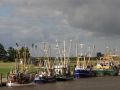 Greetsiel-Krummhörn - Kutter im Greetsieler Fischereihafen