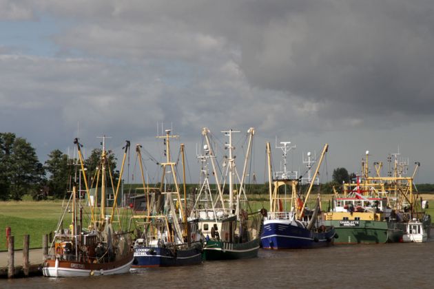 Greetsiel-Krummhörn - Kutter im Greetsieler Fischereihafen Greetsiel-Krummhörn - Kutter im Greetsieler Fischereihafen