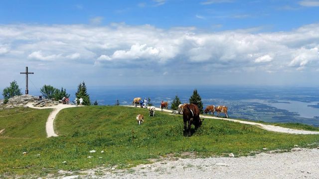 Der Blick von der Alm an der Kampenwand auf den Chiemsee Der Blick von der Alm an der Kampenwand auf den Chiemsee