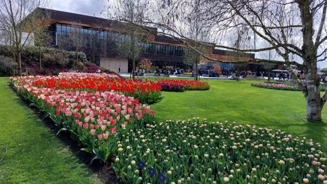 Der Keukenhof in Lisse nahe Amsterdam, das Tulpen-Paradies Der Keukenhof in Lisse nahe Amsterdam, das Tulpen-Paradies