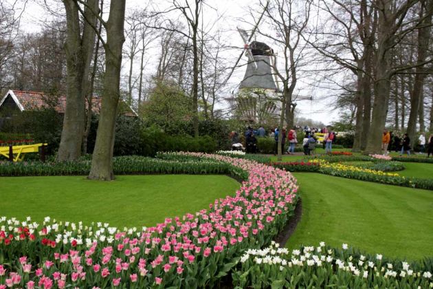 Der Keukenhof in Lisse nahe Amsterdam, ein Tulpen-Paradies Der Keukenhof in Lisse nahe Amsterdam, ein Tulpen-Paradies