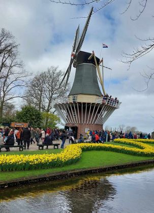 Der Keukenhof in Lisse nahe Amsterdam, ein Tulpen-Paradies - die Holländer Windmühle Der Keukenhof in Lisse nahe Amsterdam, ein Tulpen-Paradies - die Holländer Windmühle