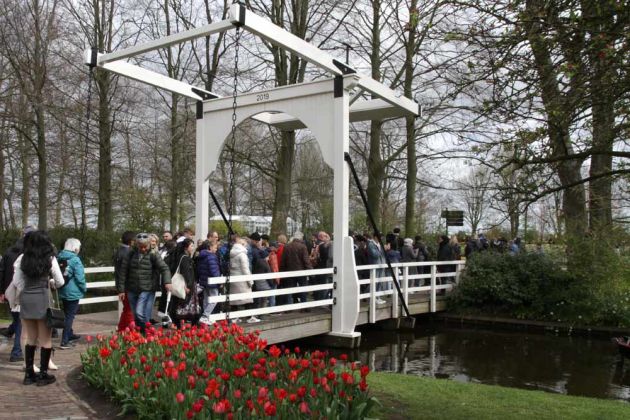 Der Keukenhof in Lisse nahe Amsterdam, ein Tulpen-Paradies - eine typisch holländische Klappbrücke Der Keukenhof in Lisse nahe Amsterdam, ein Tulpen-Paradies - eine typisch holländische Klappbrücke
