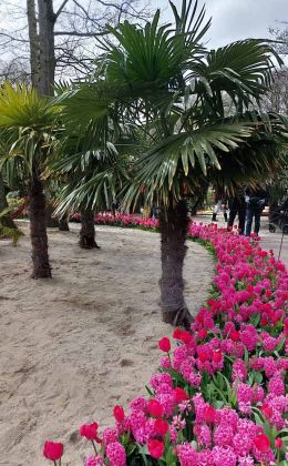 Der Keukenhof in Lisse nahe Amsterdam, ein Tulpen-Paradies Der Keukenhof in Lisse nahe Amsterdam, ein Tulpen-Paradies