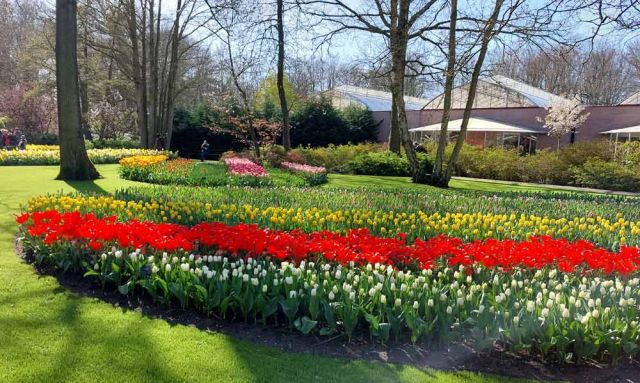 Der Keukenhof in Lisse nahe Amsterdam, ein Tulpen-Paradies Der Keukenhof in Lisse nahe Amsterdam, ein Tulpen-Paradies