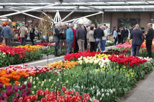 Der Keukenhof in Lisse nahe Amsterdam - Blumenschau im Pavillon Willem Alexander Der Keukenhof in Lisse nahe Amsterdam - Blumenschau im Pavillon Willem Alexander