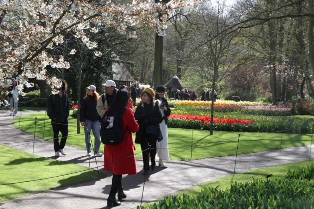 Der Keukenhof in Lisse nahe Amsterdam, ein Tulpen-Paradies Der Keukenhof in Lisse nahe Amsterdam, ein Tulpen-Paradies