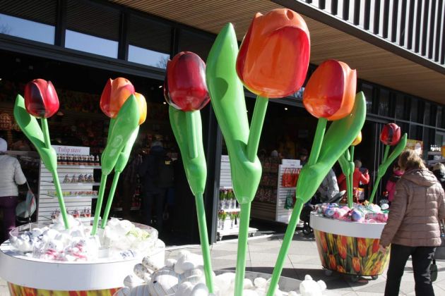 Der Keukenhof in Lisse nahe Amsterdam - ein Tulpen-Paradies, auch wenn es manchmal nur aus Plastik ist Der Keukenhof in Lisse nahe Amsterdam - ein Tulpen-Paradies, auch wenn es manchmal nur aus Plastik ist