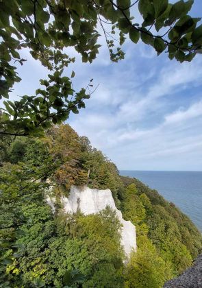 Die Kreideküste auf Rügen - Kreidefelsen am Königsstuhl Die Kreideküste auf Rügen - Kreidefelsen am Königsstuhl