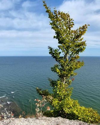 Die Kreideküste auf Rügen - der Blick vom 118 Meter hohen Königsstuhl auf die weite Ostsee Die Kreideküste auf Rügen - der Blick vom 118 Meter hohen Königsstuhl auf die weite Ostsee