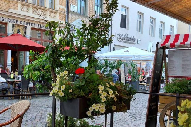 Lutherstadt Wittenberg an der Elbe - die mit Blumen geschmückte Schlossstrasse Lutherstadt Wittenberg an der Elbe - die mit Blumen geschmückte Schlossstrasse