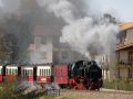 Mecklenburgische Bäderbahn - der Dampfzug 'Molli' beim Anstieg zur Steilküste in Kühlungsborn-Fulgen