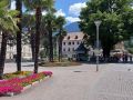 Meran-Merano in Südtirol - die obere Kurpromenade mit dem Naturdenkmal Rosskastanie