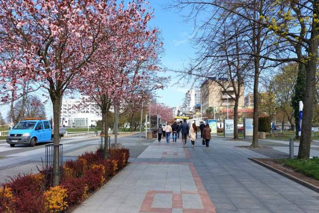 Die Promenade der Stars von Misdoy-Międzyzdroje Die Promenade der Stars von Misdoy-Międzyzdroje