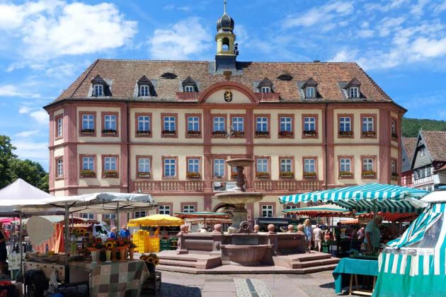 Neustadt an der Weinstrasse - das historische Rathaus im Barockstil, erbaut 1729 Neustadt an der Weinstrasse - das historische Rathaus im Barockstil, erbaut 1729