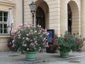 Potsdam - der Eingang des klassizistisch barocken Museums Barberini am Alten Markt     