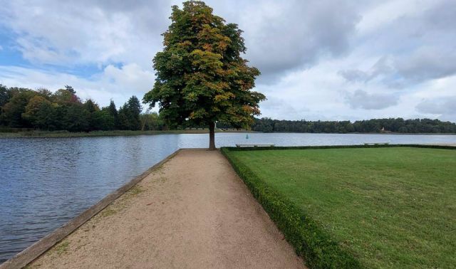 Rheinsberg in Brandenburg - ein Weg im Lustgarten am Grienericksee vor dem Rheinsberger Schloss Rheinsberg in Brandenburg - ein Weg im Lustgarten am Grienericksee vor dem Rheinsberger Schloss