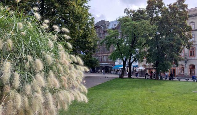 Rigas Altstadt - der weitläufige Livenplatz mit der Einkaufsstrasse Kalku iela Rigas Altstadt - der weitläufige Livenplatz mit der Einkaufsstrasse Kalku iela
