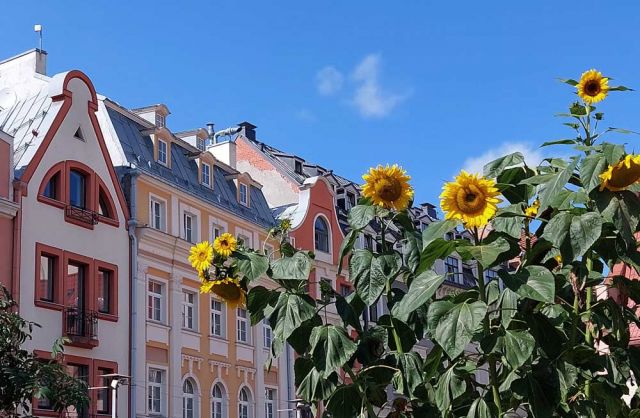 Das romantische Flair der Altstadt von Riga - historische Fassaden an der Tirguno Iela Das romantische Flair der Altstadt von Riga - historische Fassaden an der Tirguno Iela