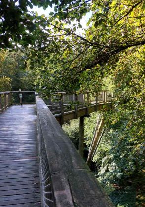 Ostseeinsel Rügen - der Baumwipfelpfad des Naturerbe Zentrums Rügen in Prora Ostseeinsel Rügen - der Baumwipfelpfad des Naturerbe Zentrums Rügen in Prora