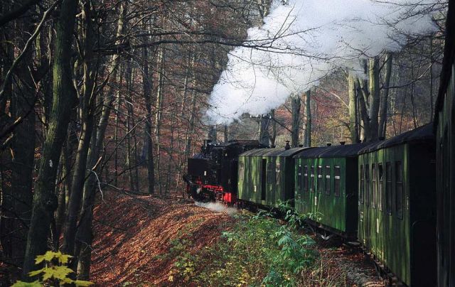 Ostseeinsel Rügen - der Dampfzug 'Rasender Roland' der Rügenschen Bäderbahn in der herbstlichen Granitz Ostseeinsel Rügen - der Dampfzug 'Rasender Roland' der Rügenschen Bäderbahn in der herbstlichen Granitz