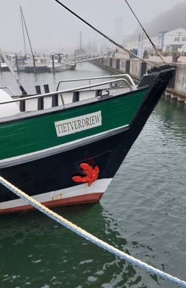 Hafenstadt Sassnitz - der Stadthafen, Impressionen im Fischereihafen Hafenstadt Sassnitz - der Stadthafen, Impressionen im Fischereihafen