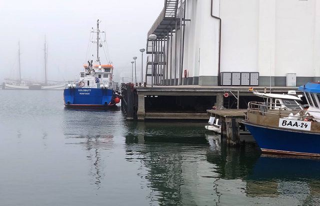 Hafenstadt Sassnitz - der Stadthafen, Impressionen im Fischereihafen Hafenstadt Sassnitz - der Stadthafen, Impressionen im Fischereihafen