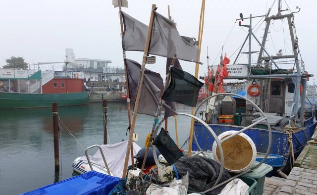 Hafenstadt Sassnitz - der Stadthafen, Impressionen im Fischereihafen Hafenstadt Sassnitz - der Stadthafen, Impressionen im Fischereihafen