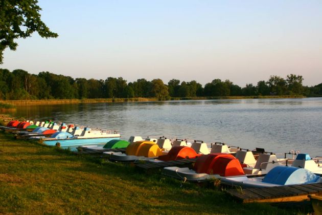 Die Burgwallinsel im Teterower See, Tretboote am Bootsanleger im Abendlicht - Teterow, Mecklenburger Schweiz Die Burgwallinsel im Teterower See, Tretboote am Bootsanleger im Abendlicht - Teterow, Mecklenburger Schweiz