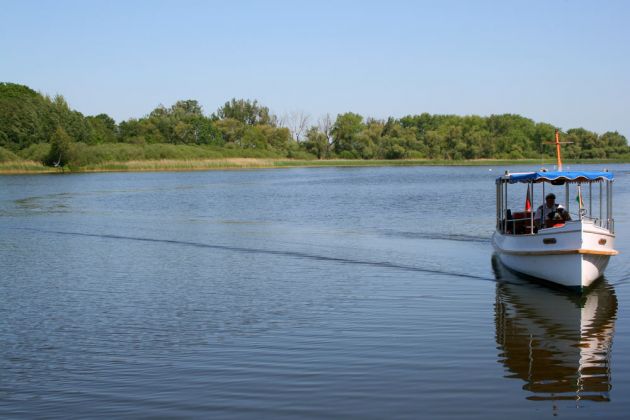 Teterower See, Mecklenburger Schweiz - die historische Motorbarkasse 'Regulus' steuert die Burgwallinsel an Teterower See, Mecklenburger Schweiz - die historische Motorbarkasse 'Regulus' steuert die Burgwallinsel an