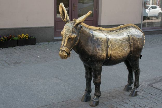 Toruń, Thorn - der 'Strafesel' am Altstadtmarkt Toruń, Thorn - der 'Strafesel' am Altstadtmarkt